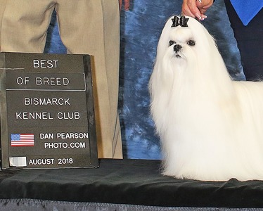 Han breed win
